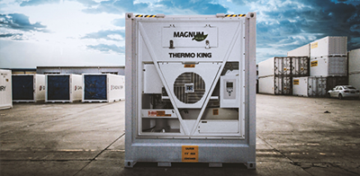 thermo king referigerated containers USA for sale and rent